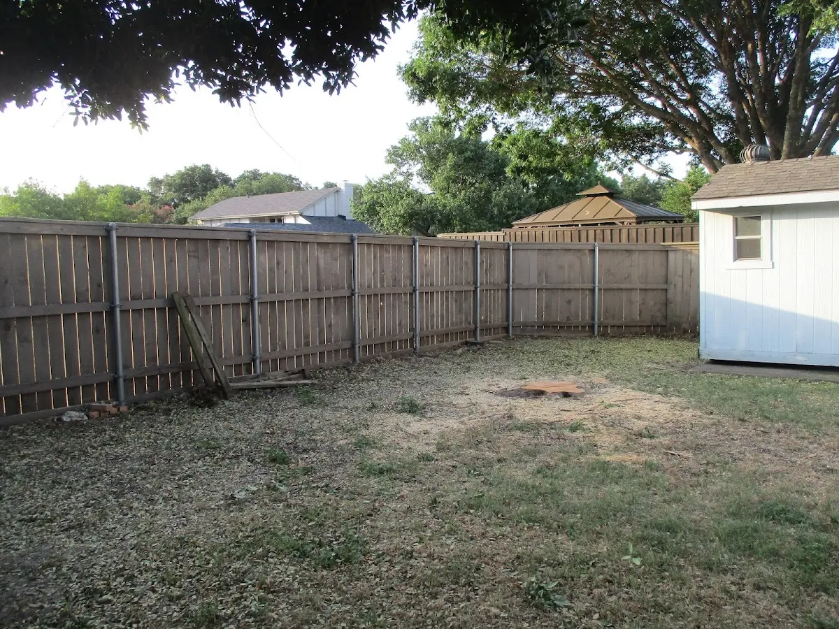 Cleared yard after professional tree removal in Ellicott City