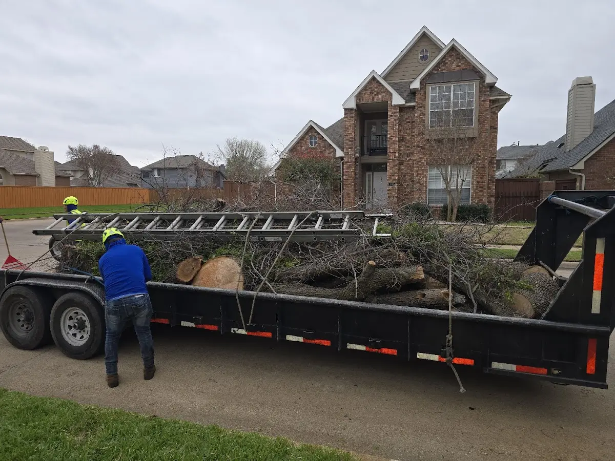 Expert Tree Removal with proper safety equipment in Ellicott City